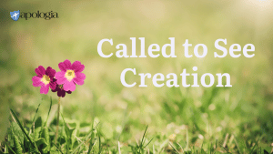 Called to See Creation