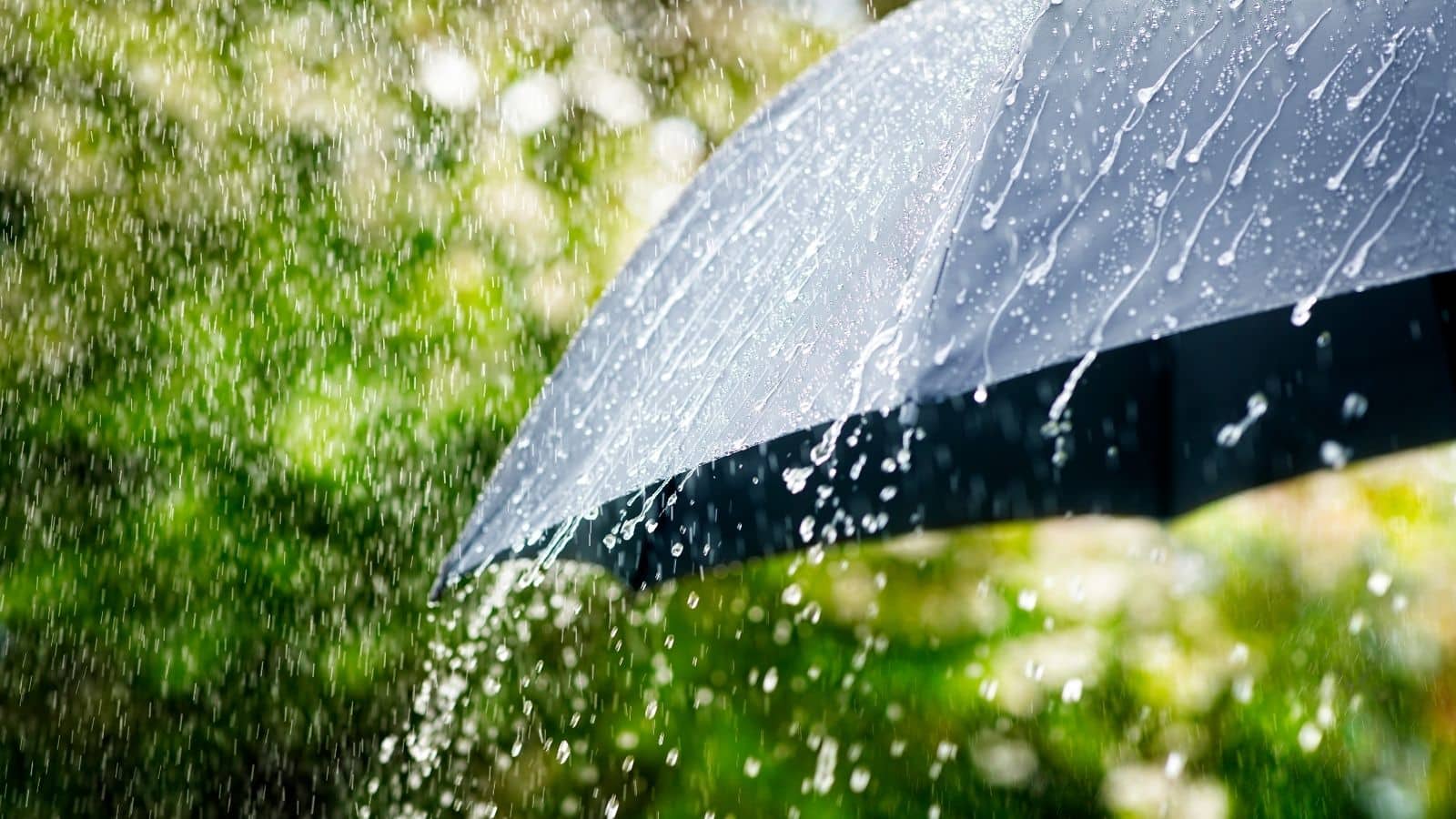 Resources for studying weather