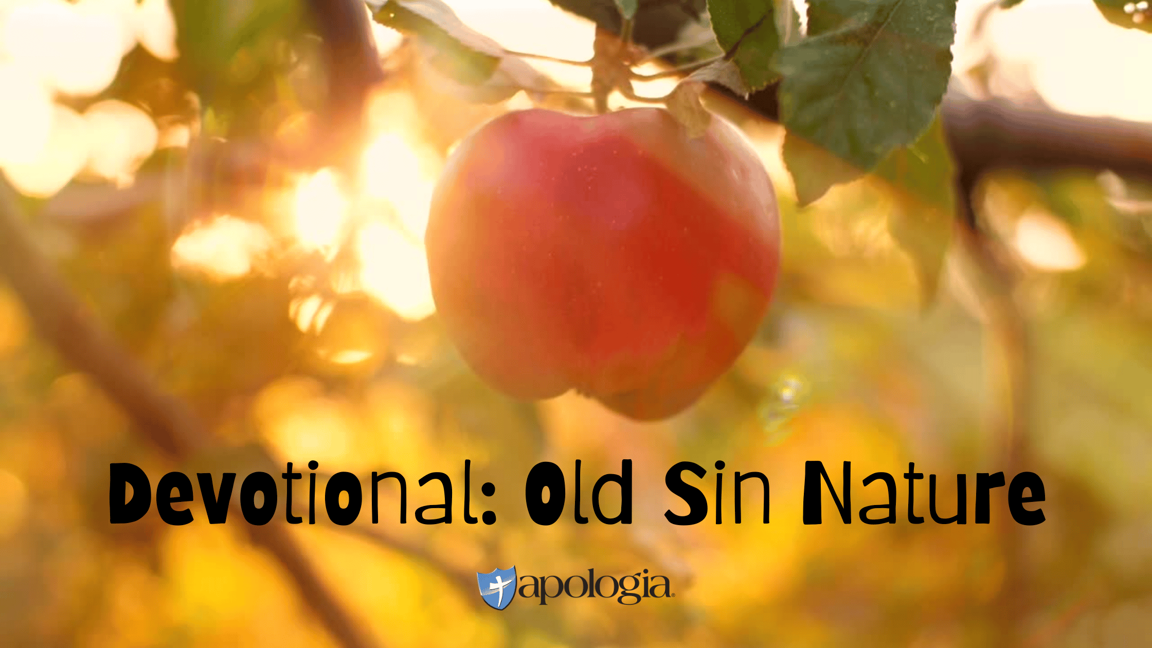 Devotional Old Sin Nature