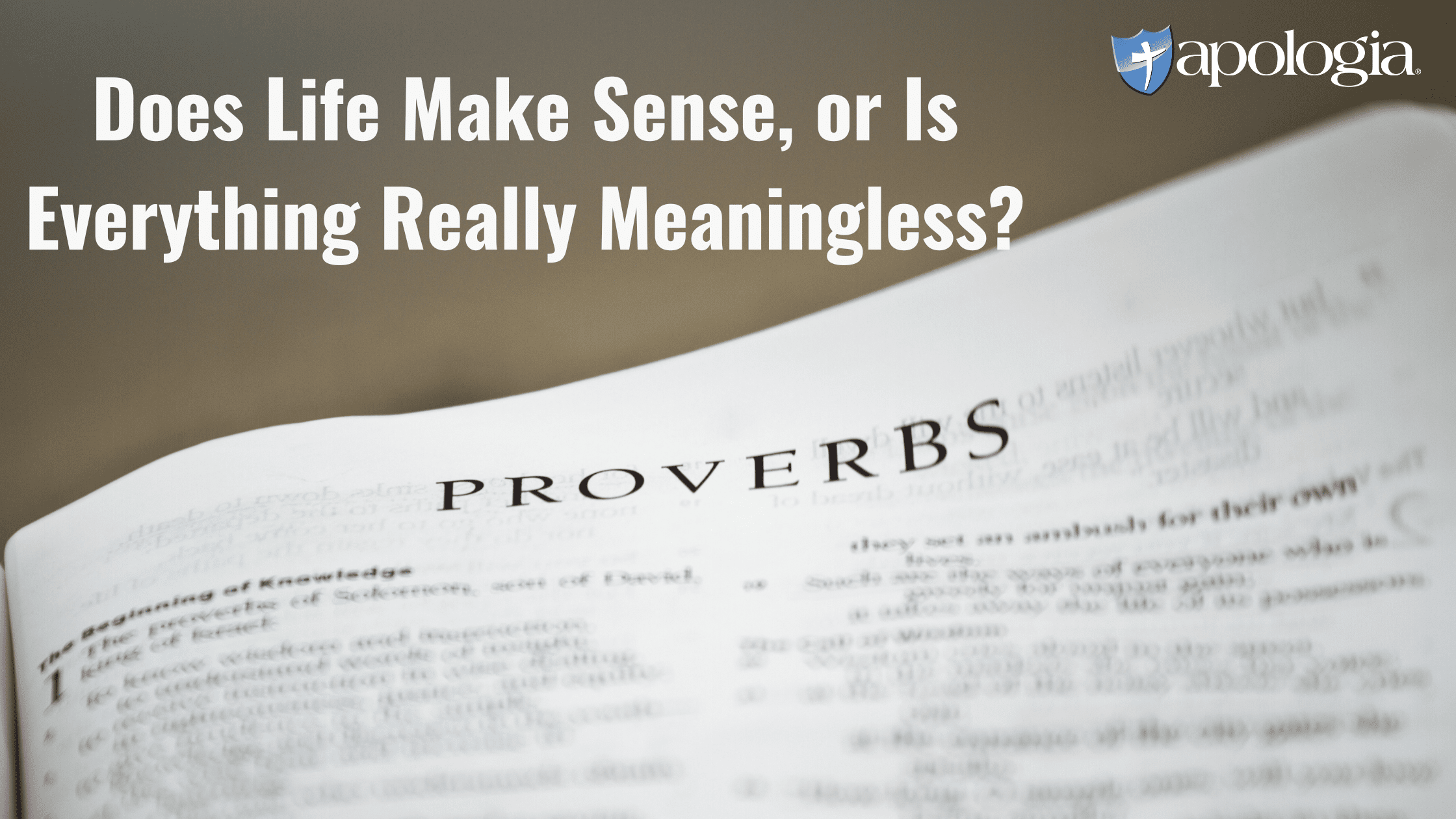 Does Life Make Sense, or Is Everything Really Meaningless