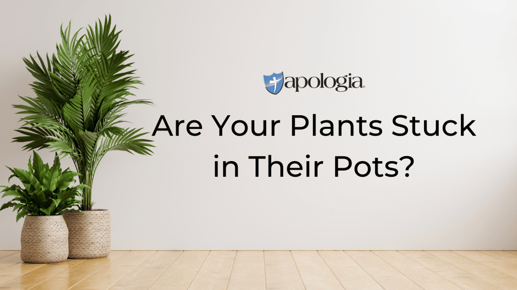 Are Your Plants Stuck in Their Pots? Apologia