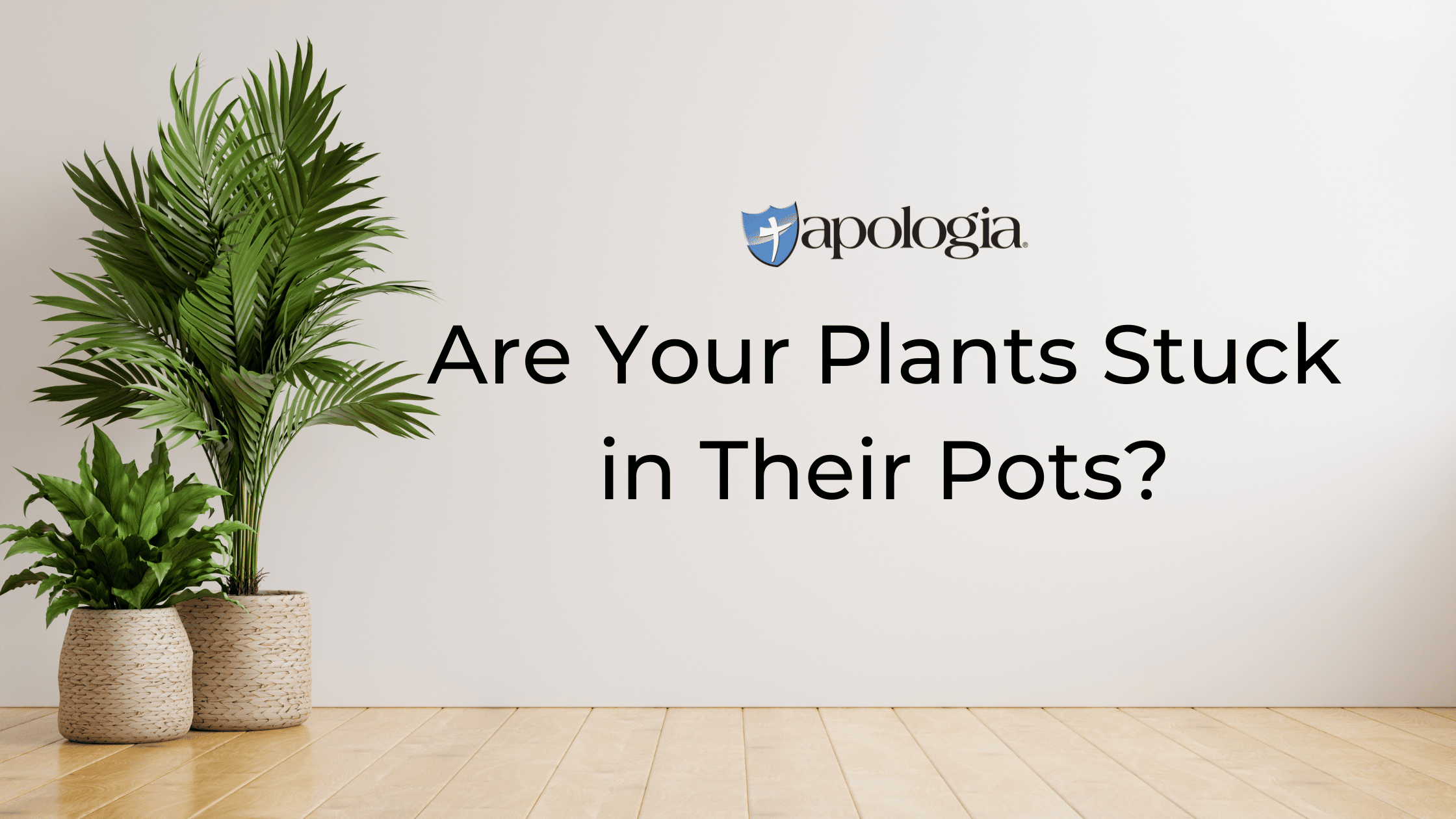 Are Your Plants Stuck in Their Pots?