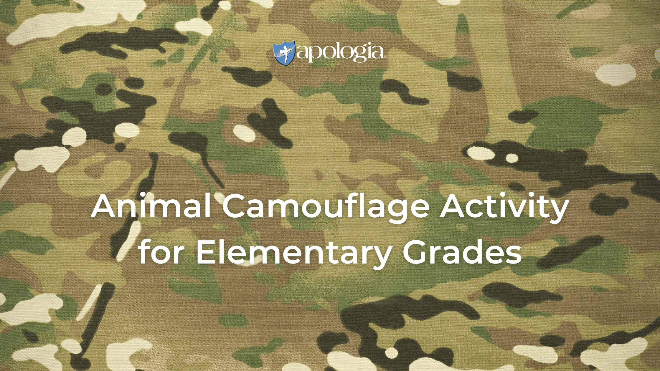 Animal Camouflage Activity for Elementary Grades