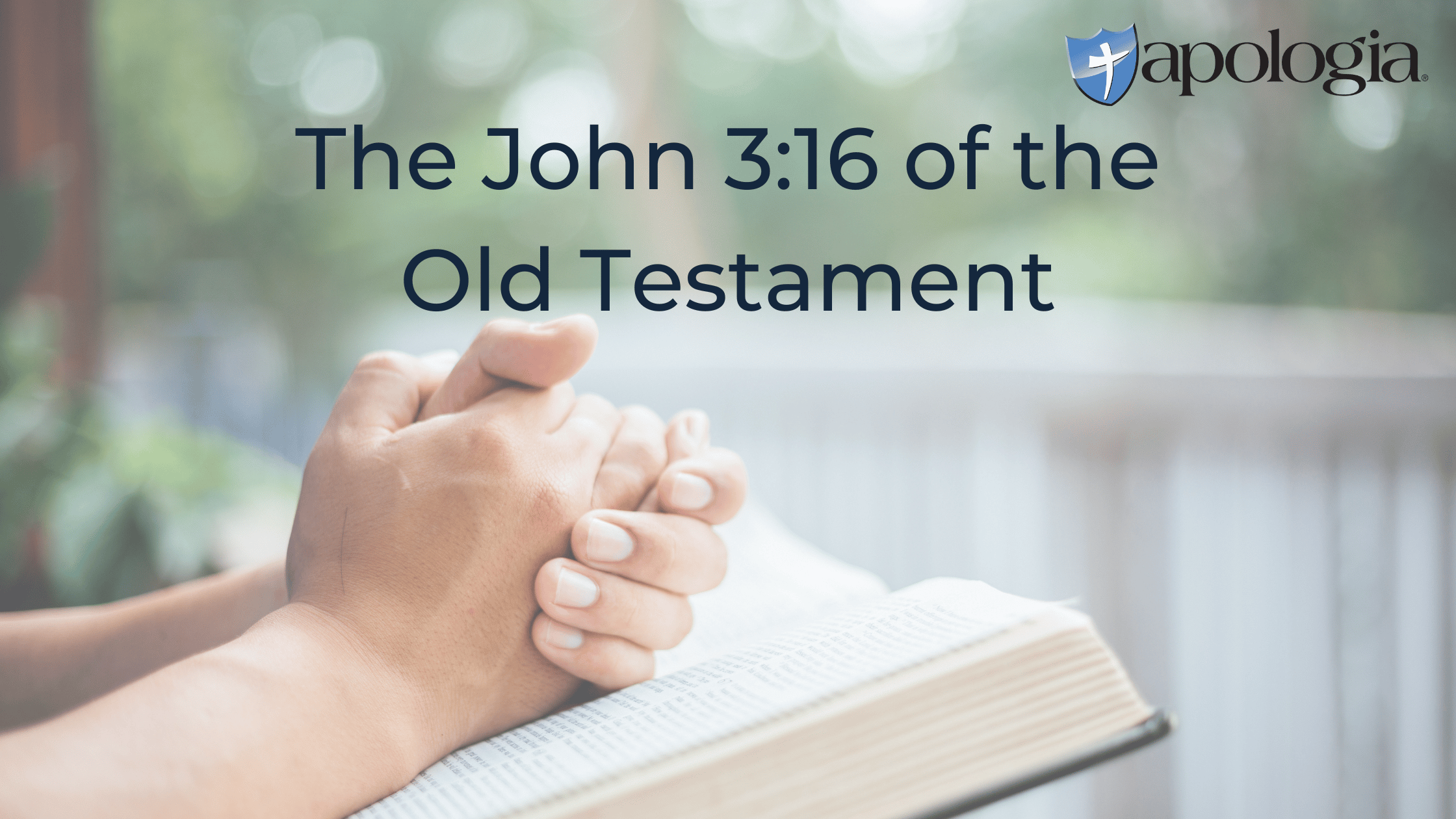 The John 316 of the Old Testament
