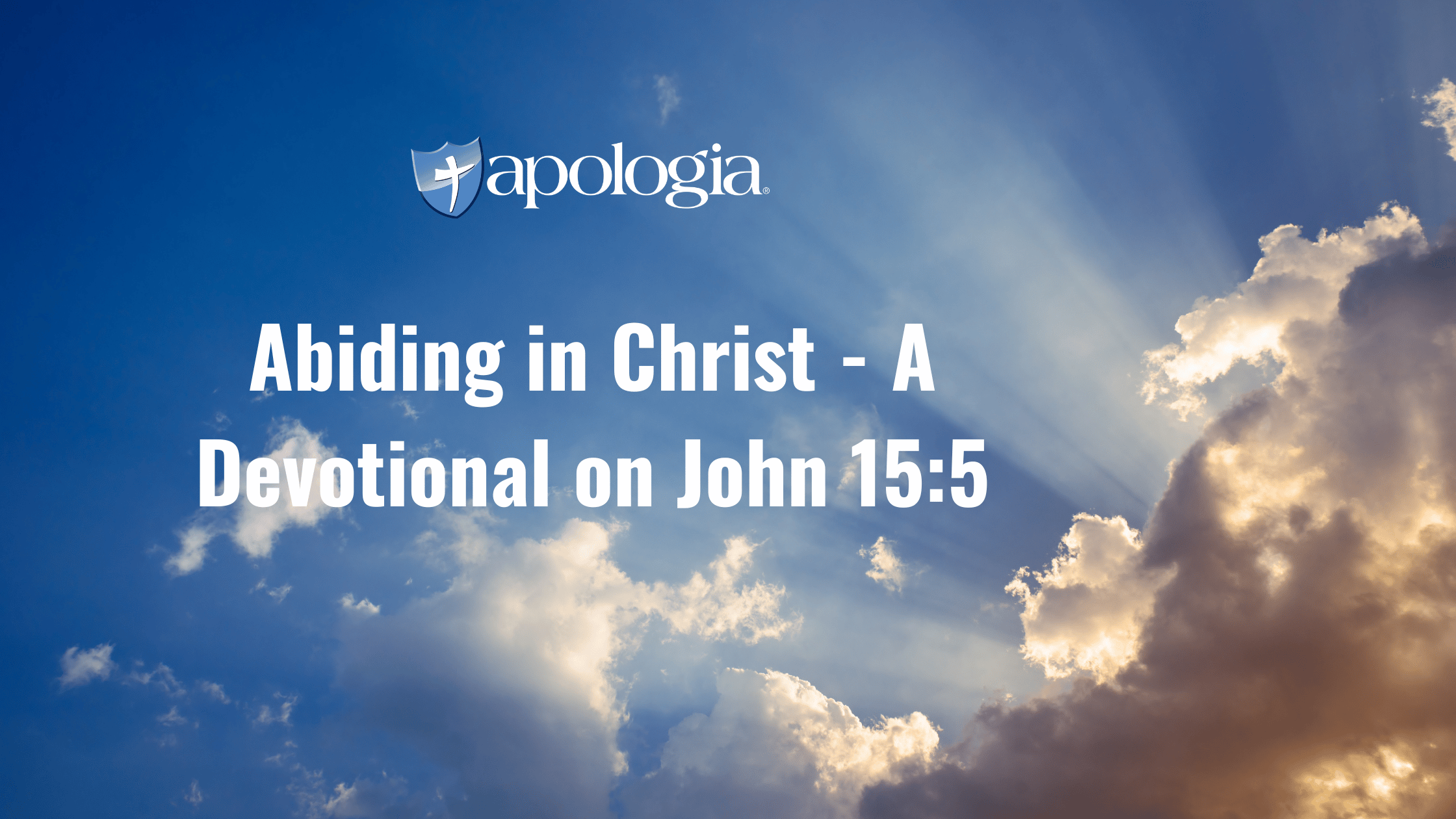 Abiding in Christ - A Devotional on John 15:5