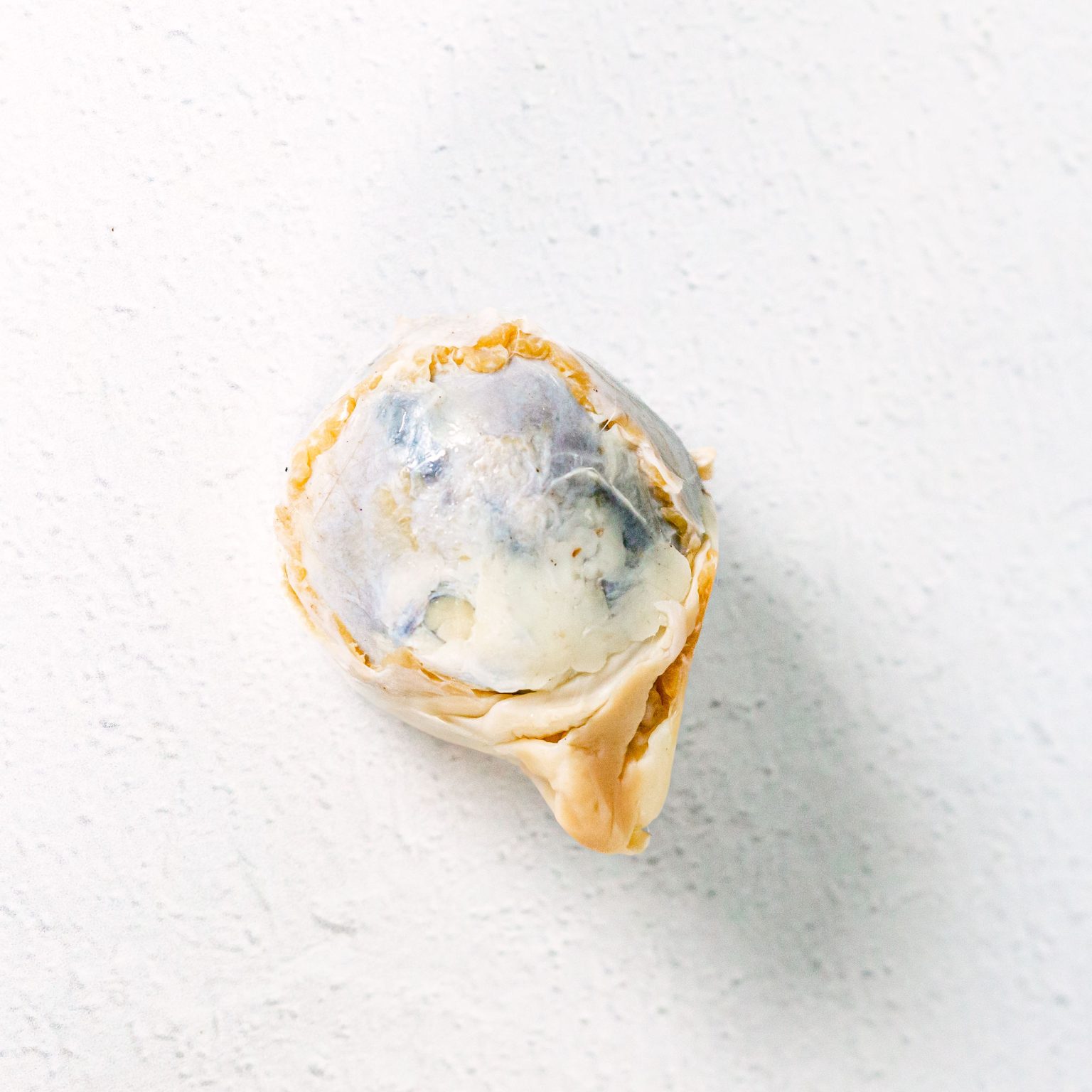 Advanced Biology Dissection Specimens Set Apologia