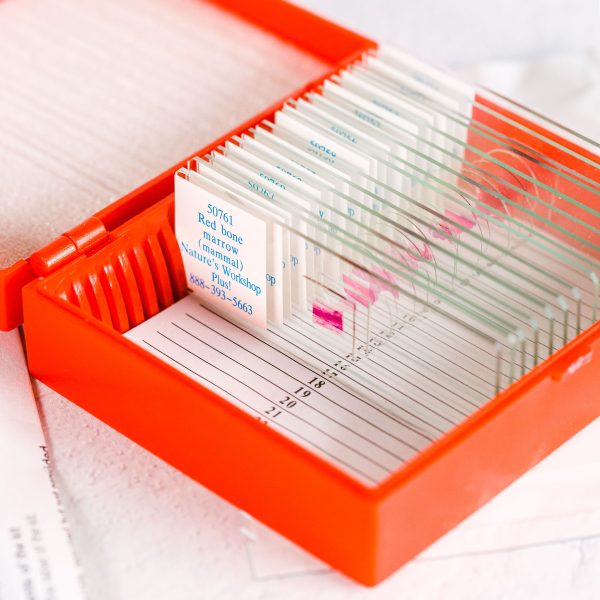 Advanced Biology Slide Set with Blood Typing Kit Image 3