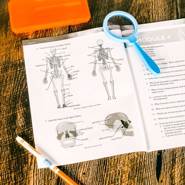 Advanced Biology Test Pages Module 4