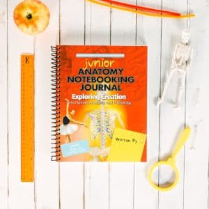 Anatomy and Physiology Junior Notebooking Journal Front Cover