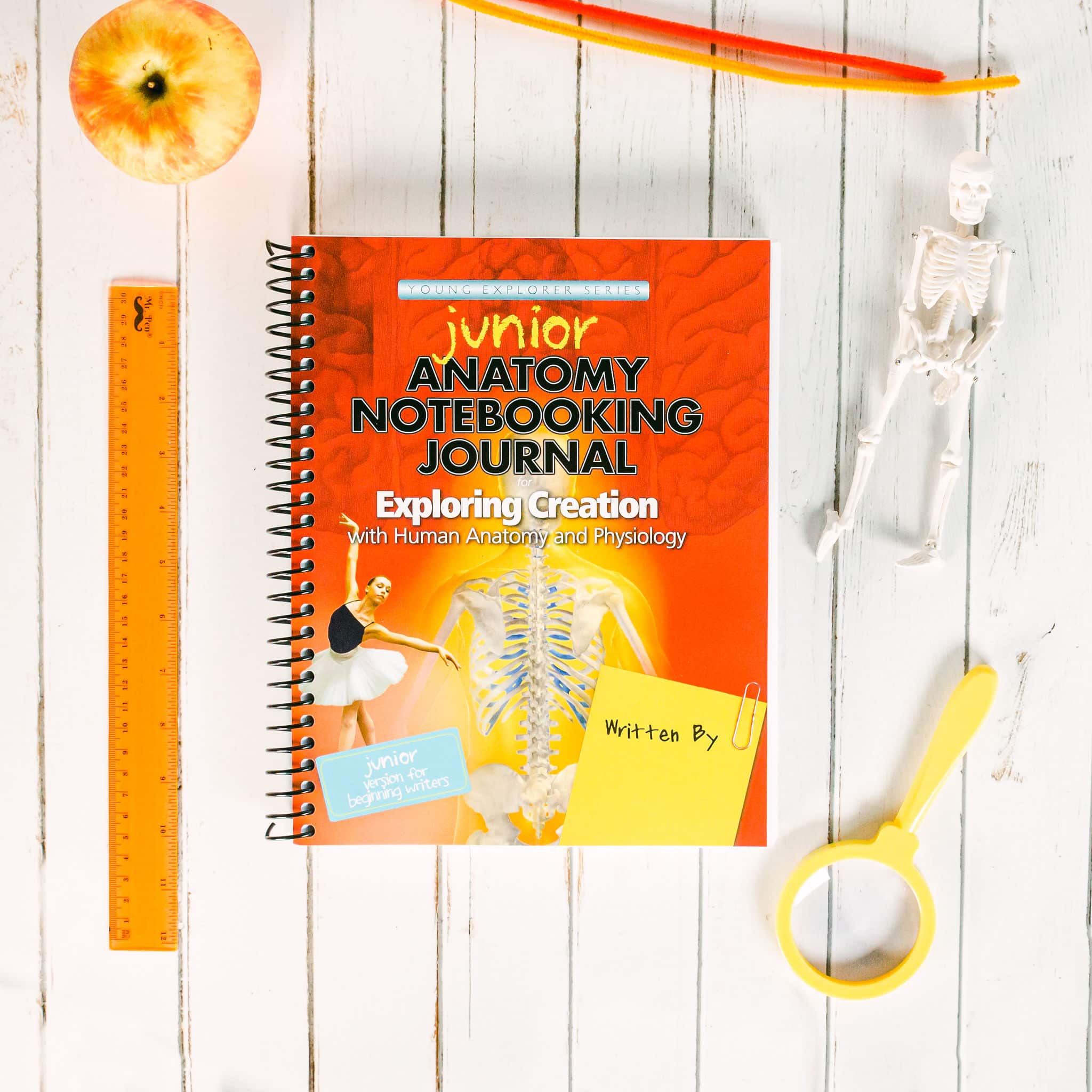 Anatomy and Physiology Junior Notebooking Journal