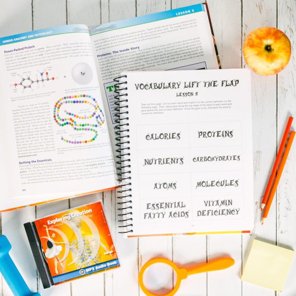 Anatomy and Physiology Super Set Junior Notebooking Journal Lesson 5