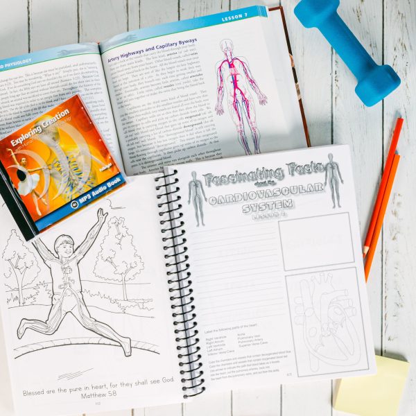 Anatomy and Physiology Super Set Junior Notebooking Journal Lesson 8-2