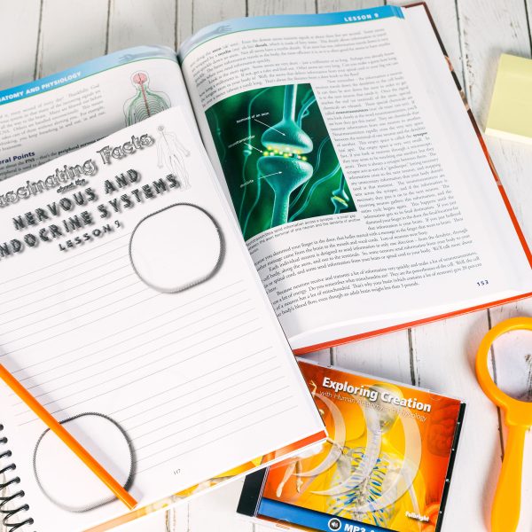Anatomy and Physiology Super Set Regular Notebooking Journal Lesson 9