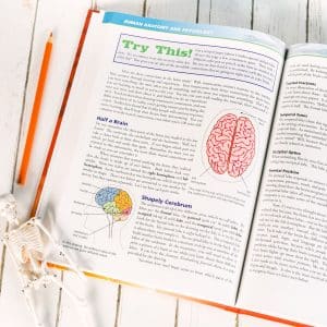 Anatomy and Physiology Textbook Lesson 10
