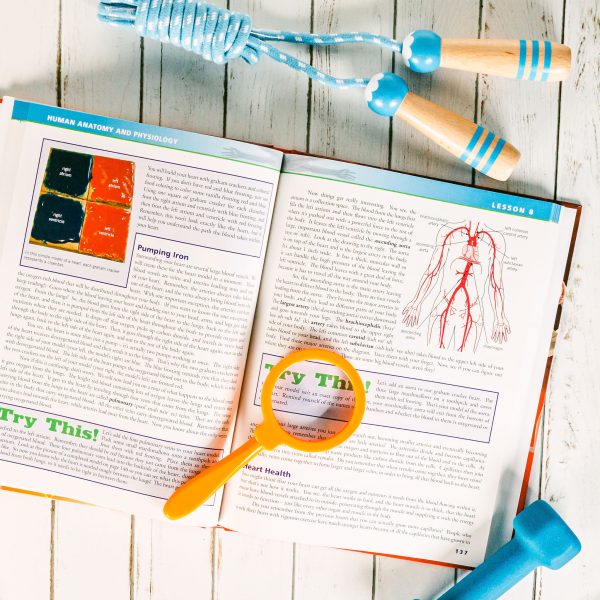 Anatomy and Physiology Textbook Lesson 8