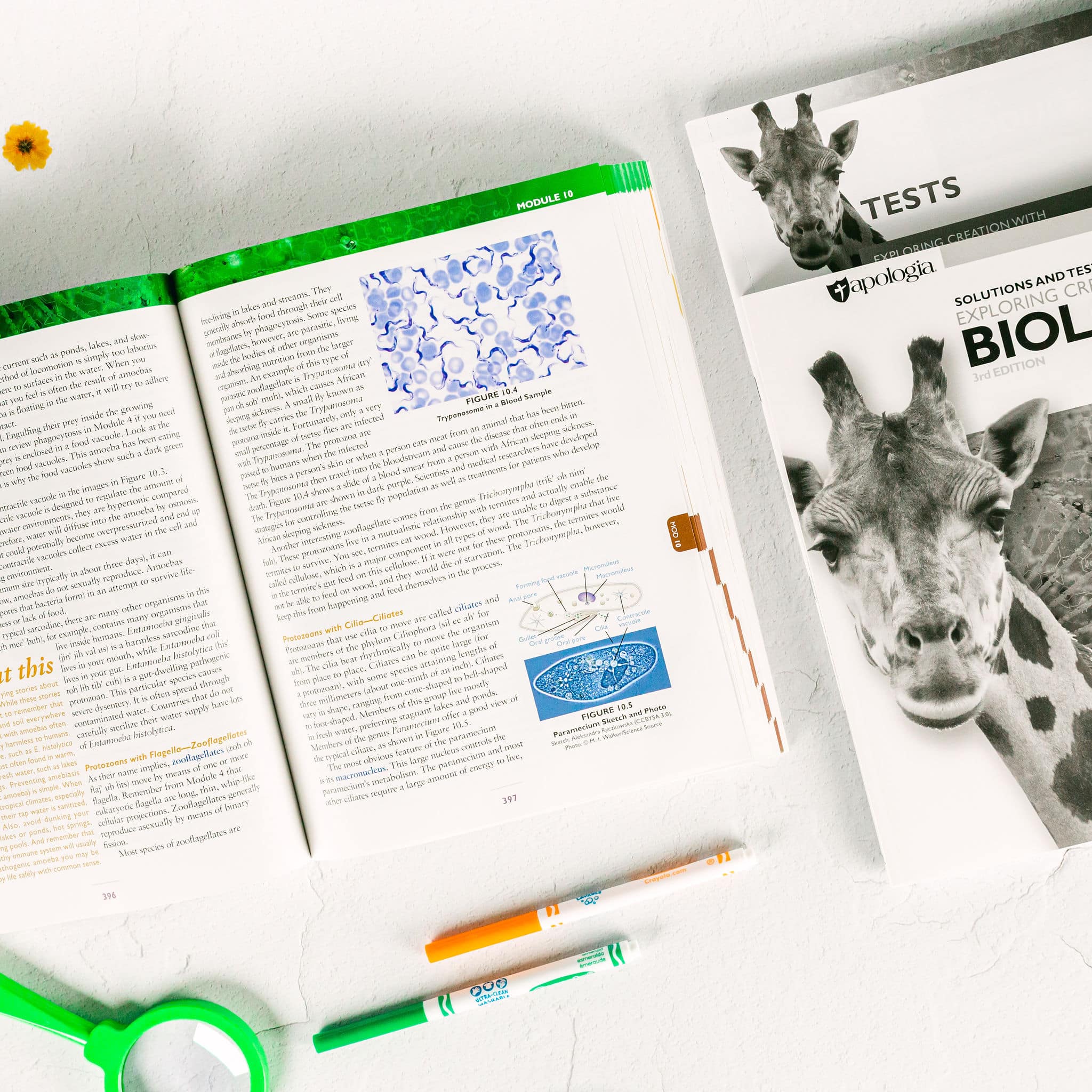 Biology Basic Set Apologia