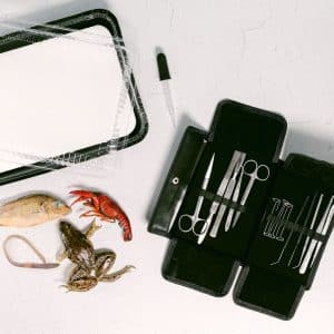 Biology Dissection Kit with Specimens Main Image