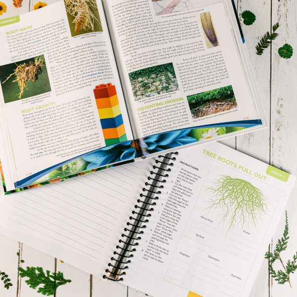 Botany Advantage Set Regular Notebooking Journal Lesson 7