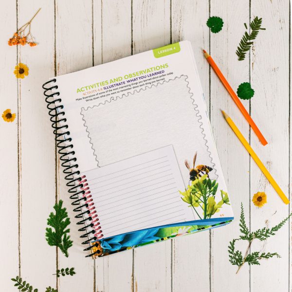 Botany Regular Notebooking Journal Lesson 4-2