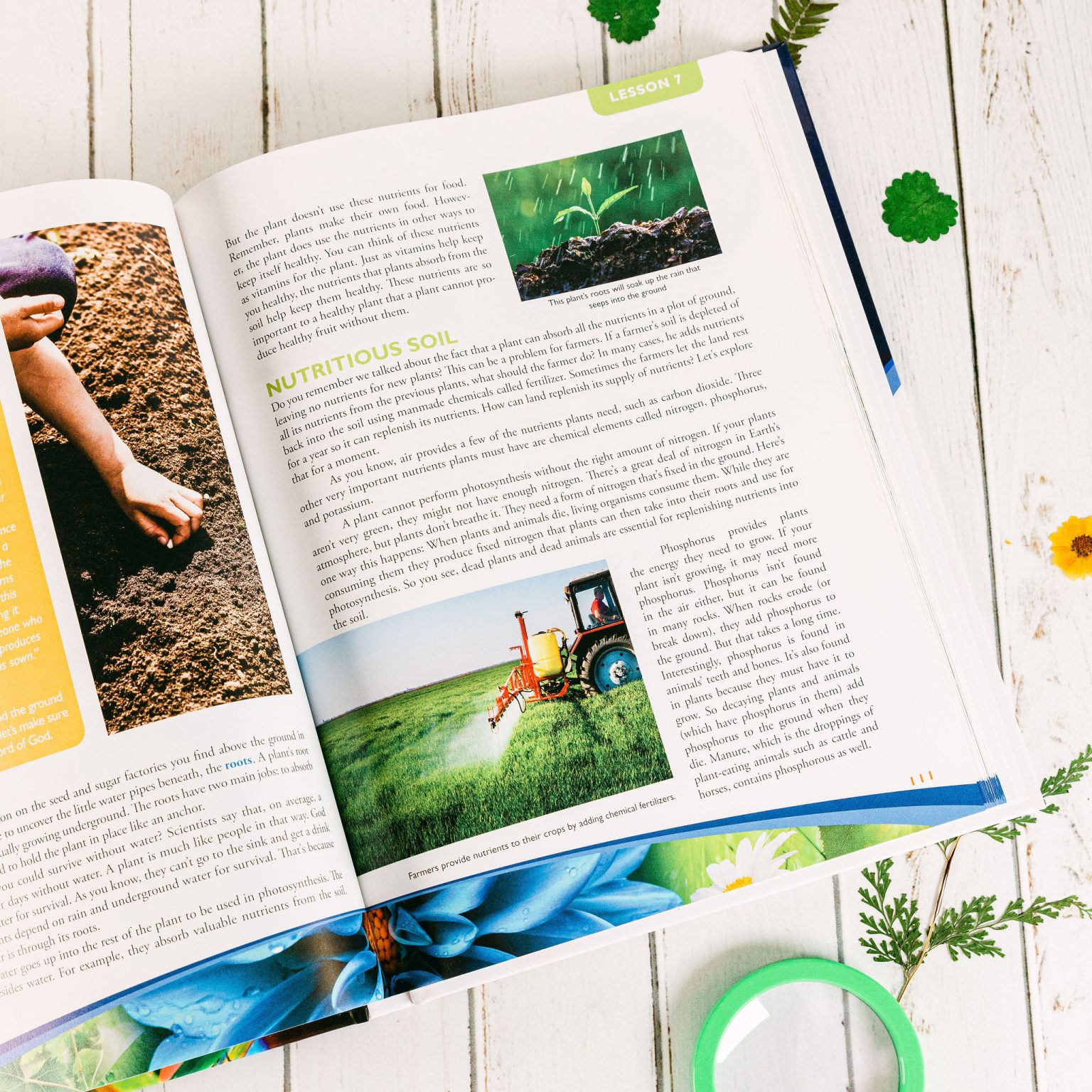 Botany Textbook - Apologia
