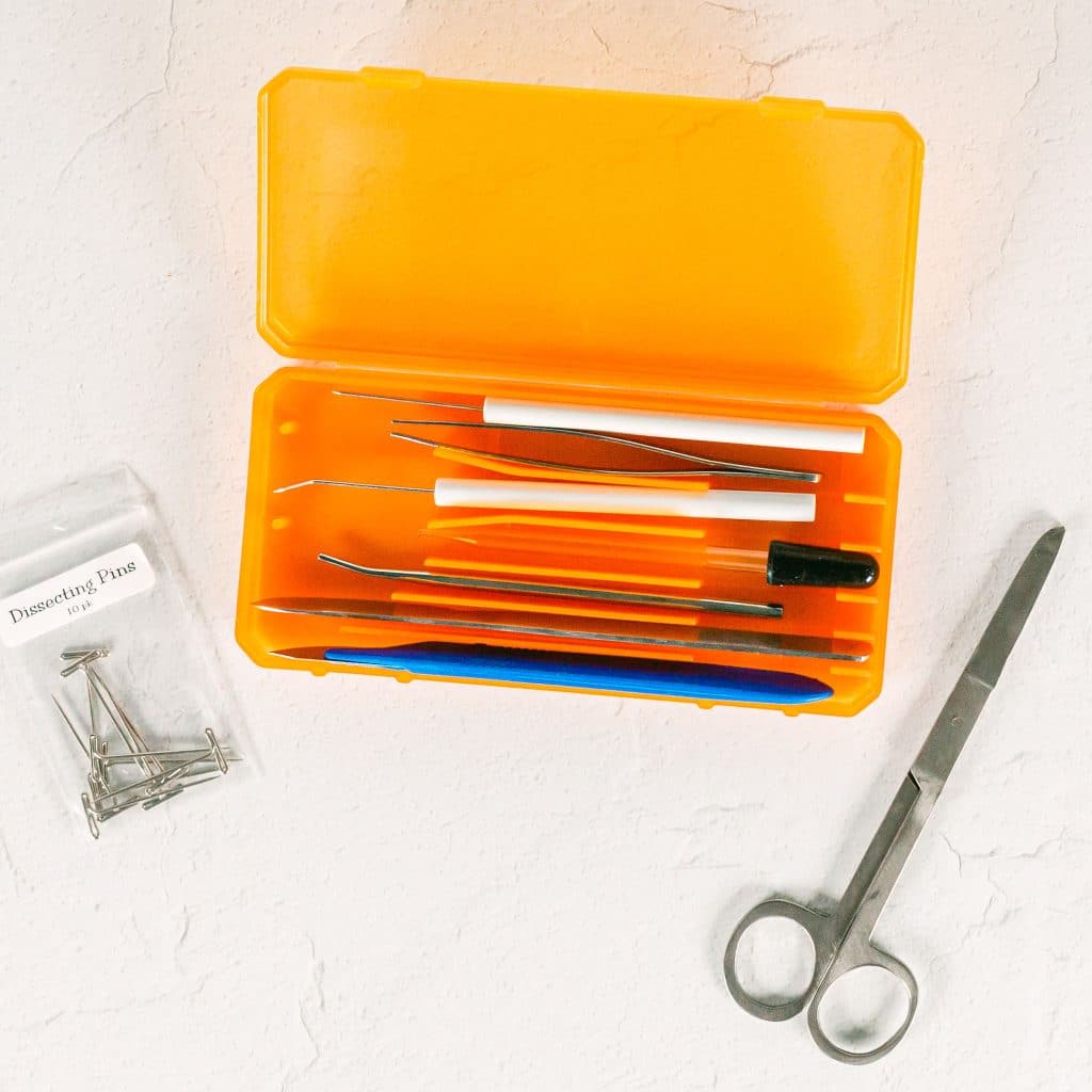 Dissection Tool Set Apologia