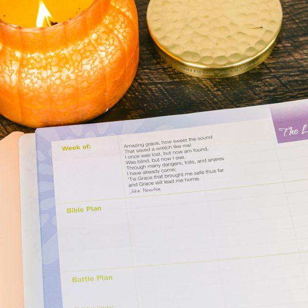 The Ultimate Homeschool Planner Blue Inside 5