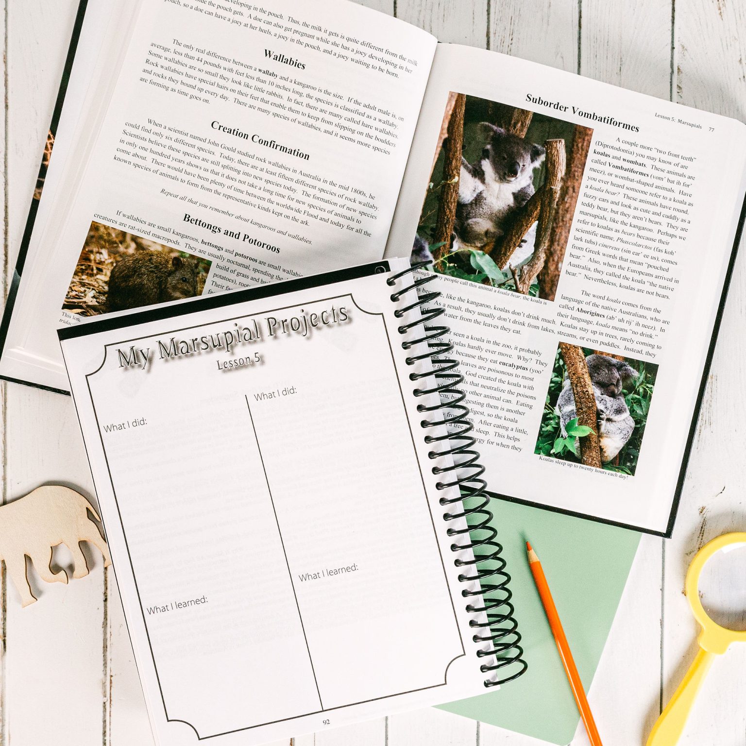 Zoology 3 Advantage Set with Junior Notebooking Journal Apologia