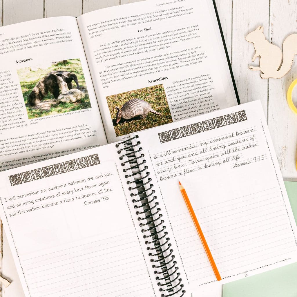 Zoology 3 Advantage Set with Junior Notebooking Journal Apologia