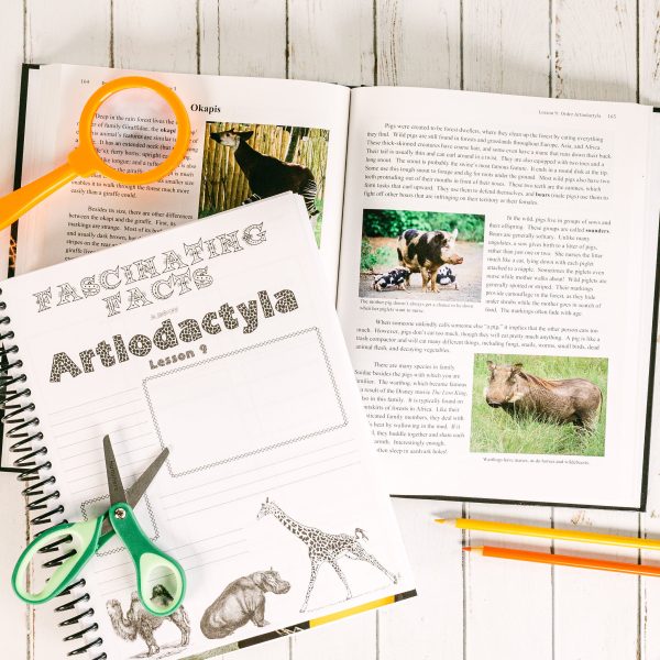 Zoology 3 Advantage Set Junior Notebooking Journal Lesson 9-1