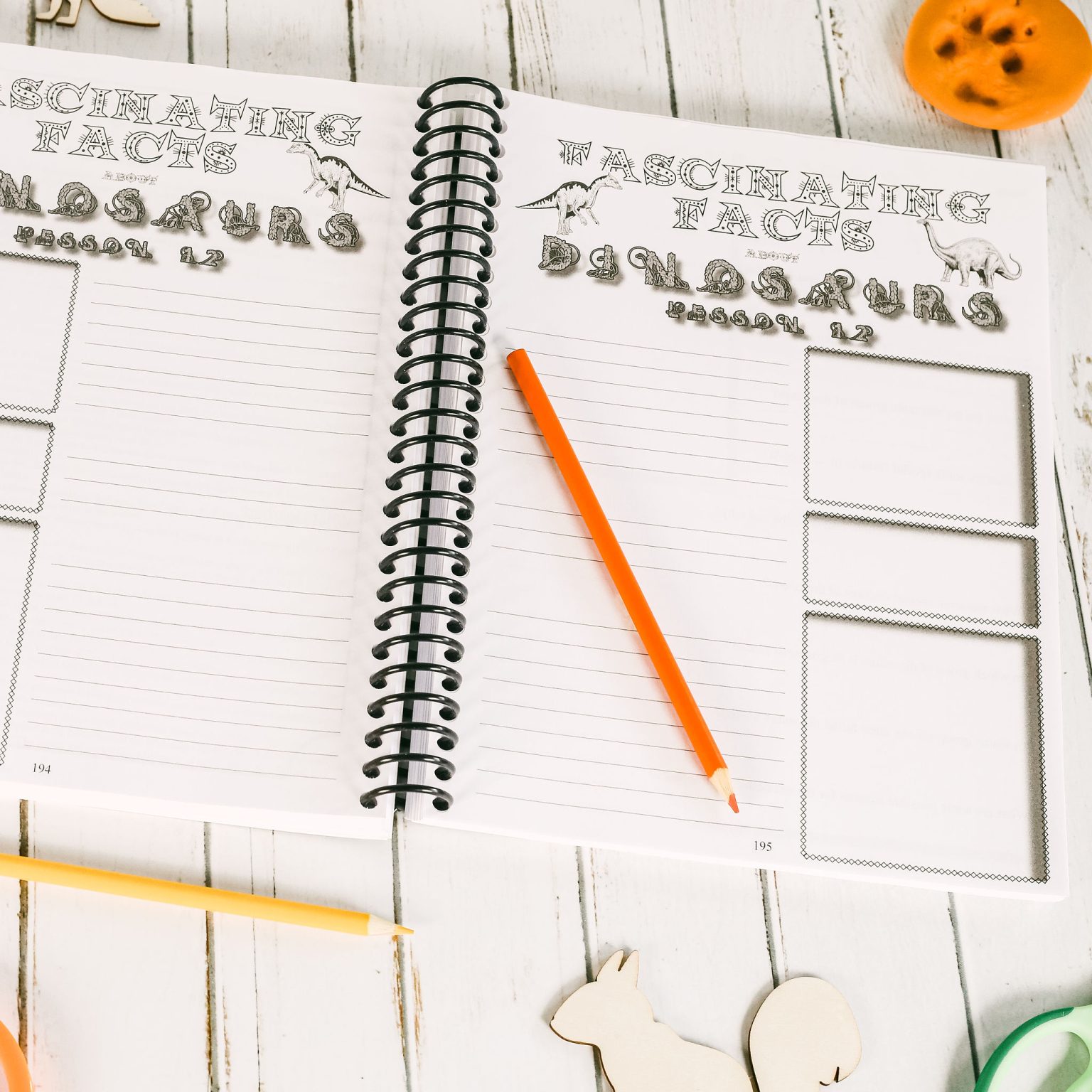 Zoology 3 Junior Notebooking Journal Apologia