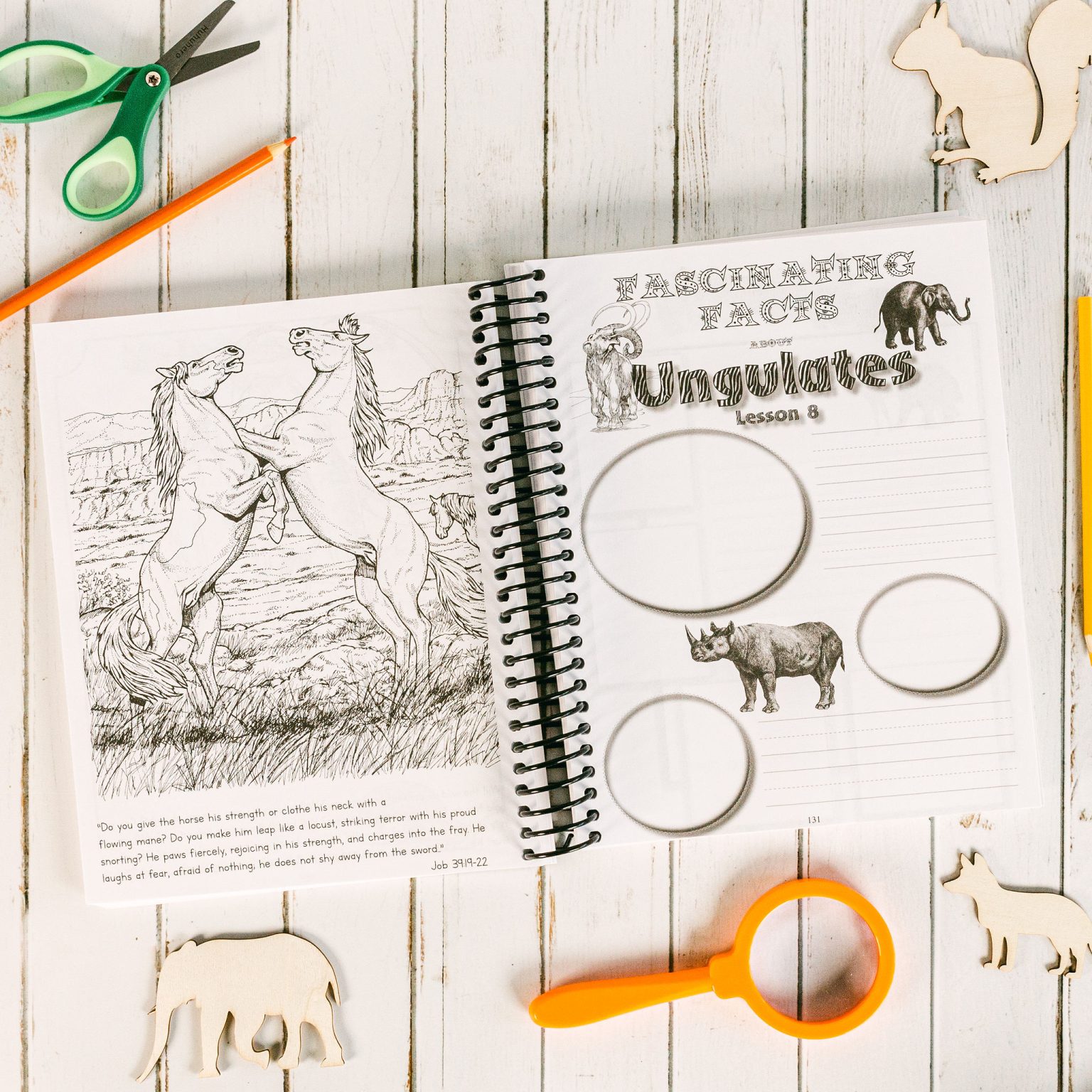 Zoology 3 Junior Notebooking Journal Apologia