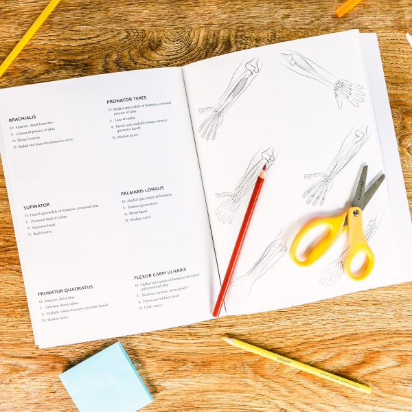 Kaplan Anatomy Coloring Book Inside 2