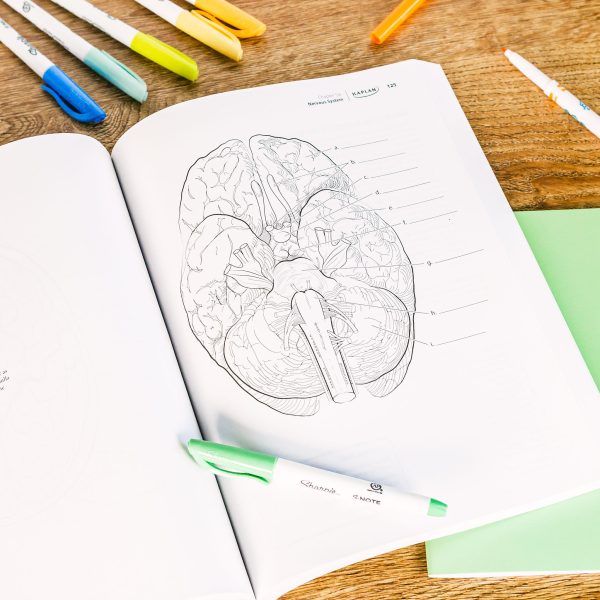 Kaplan Anatomy Coloring Book Inside 5