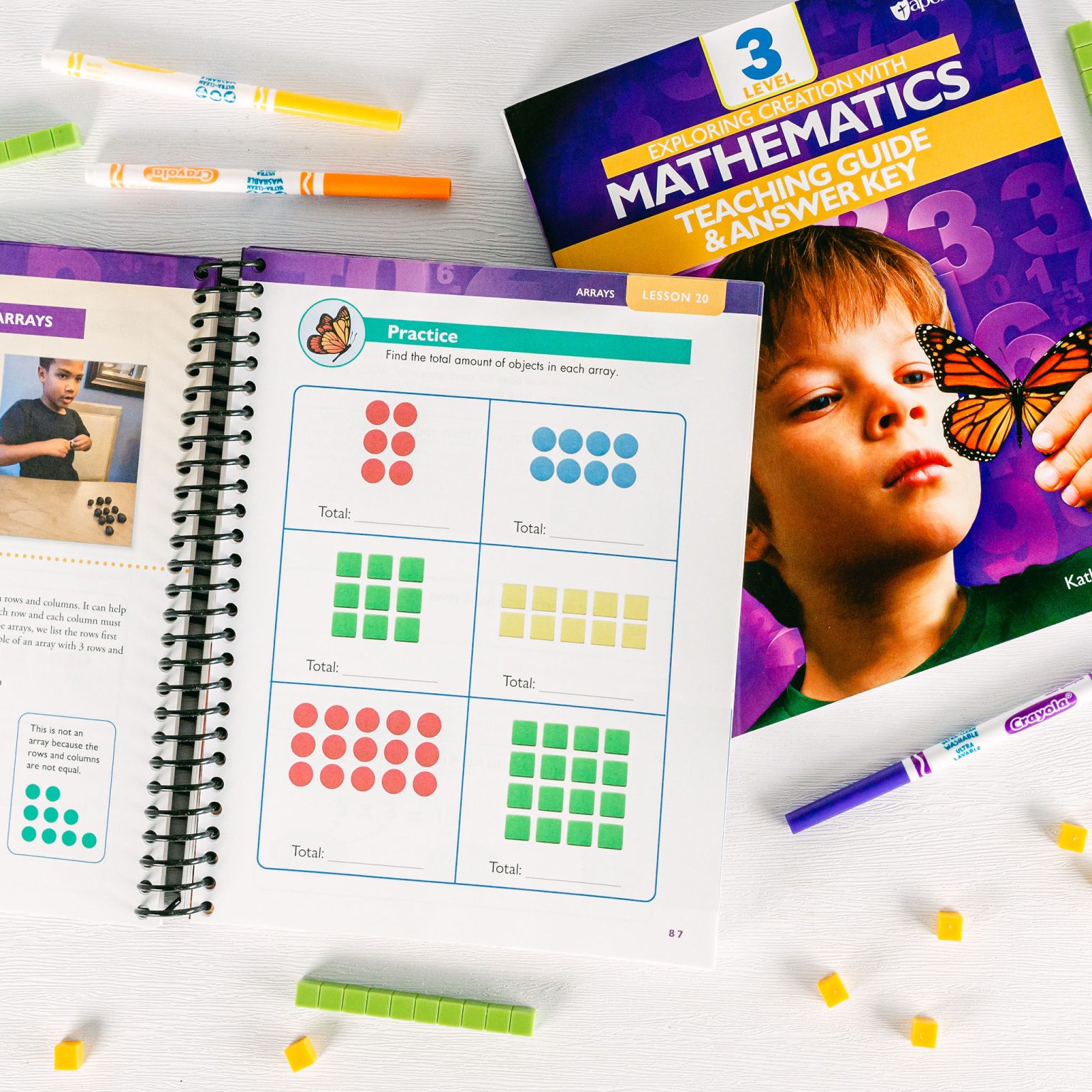 Mathematics Level 3 Basic Set Apologia