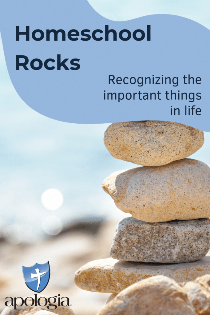 Are you having a hard homeschool season? Stop and take a moment to think about the important things in life and all the reasons why “homeschool rocks.”