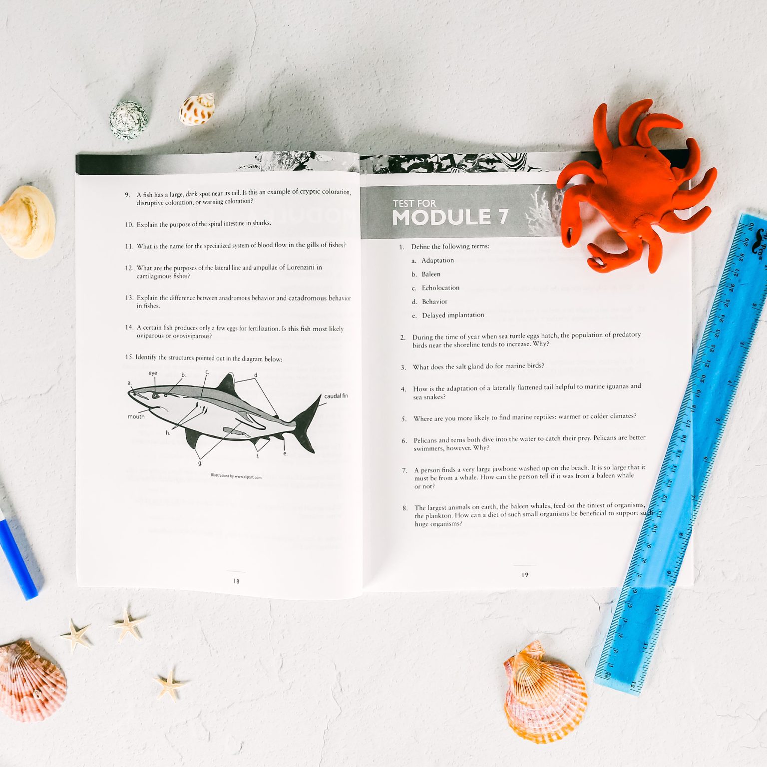 Marine Biology Test Pages Apologia