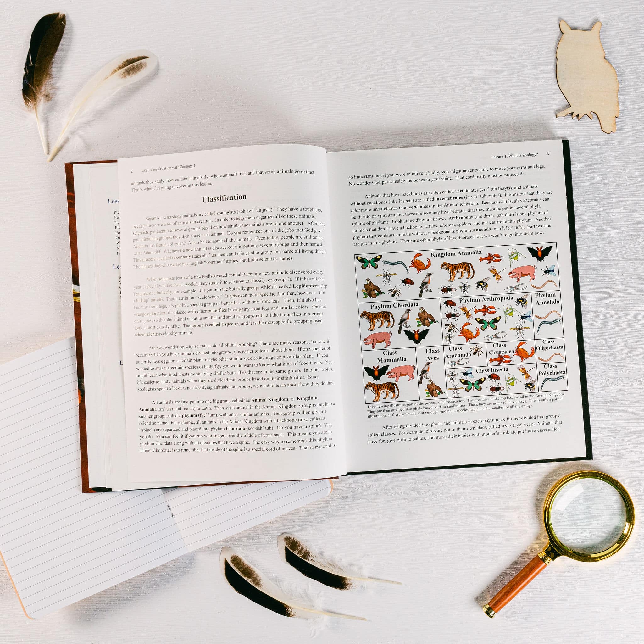 Zoology 1 Textbook – Apologia Zoology 1 Textbook – Apologia