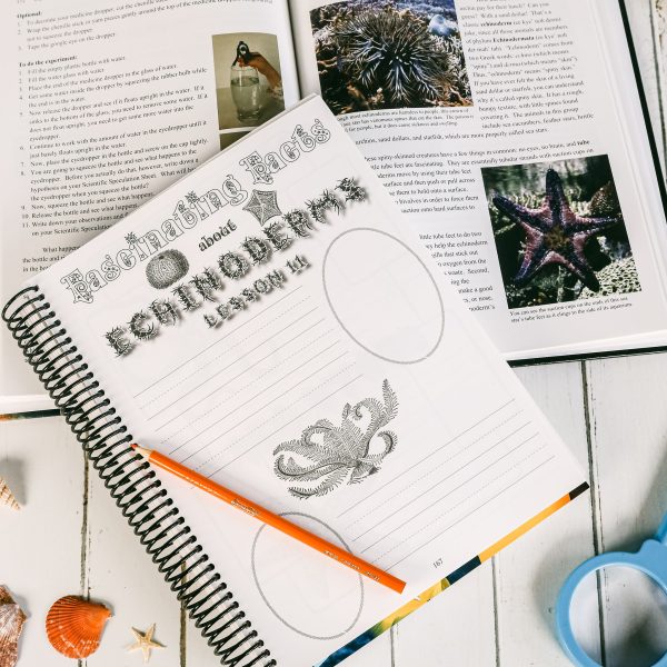 Zoology 2 Advantage Set Junior Notebooking Journal Lesson 11