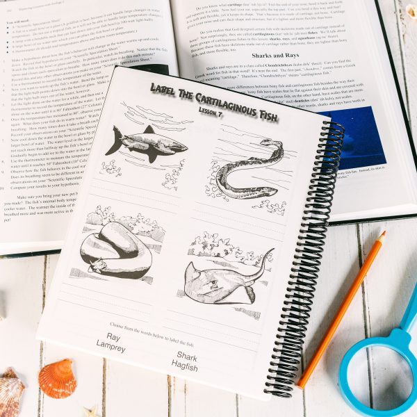 Zoology 2 Advantage Set Junior Notebooking Journal Lesson 7