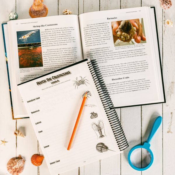 Zoology 2 Advantage Set Junior Notebooking Journal Lesson 8