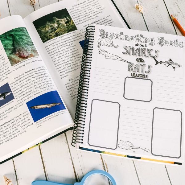 Zoology 2 Advantage Set Regular Notebooking Journal Lesson 7-2