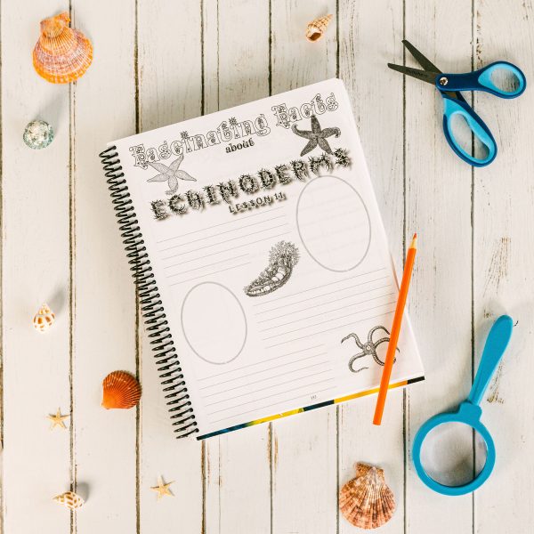 Zoology 2 Junior Notebooking Journal Lesson 11