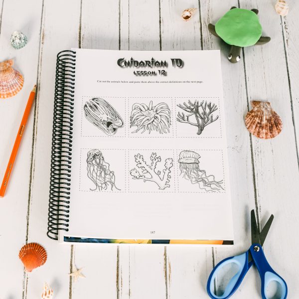 Zoology 2 Junior Notebooking Journal Lesson 12