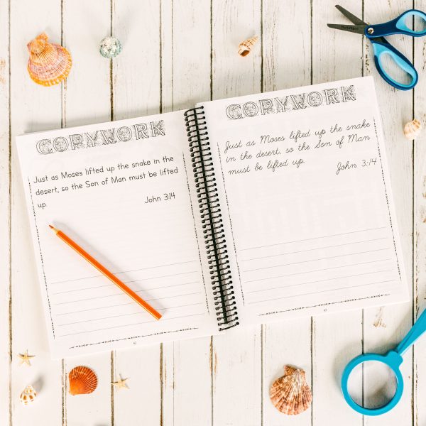 Zoology 2 Junior Notebooking Journal pages 62 63