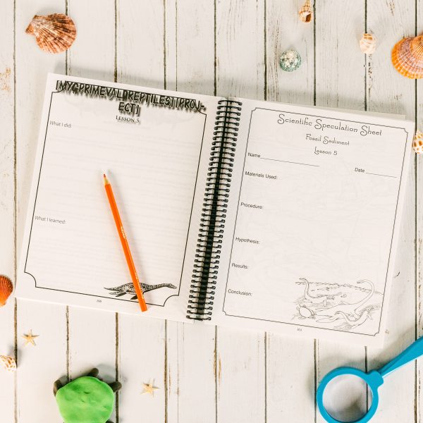 Zoology 2 Regular Notebooking Journal Lesson 5