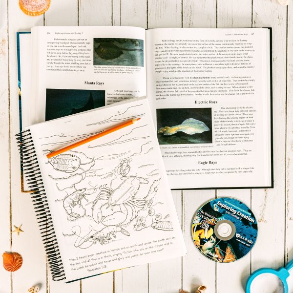 Zoology 2 Super Set Junior Notebooking Journal Lesson 7