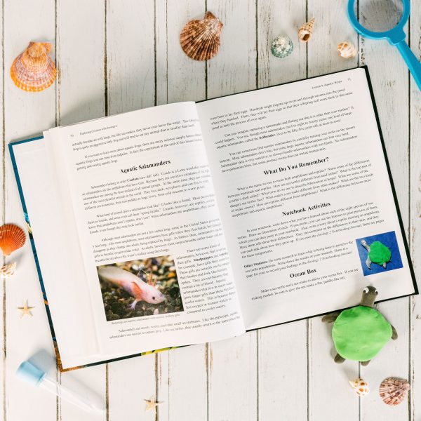 Zoology 2 Textbook Lesson 4