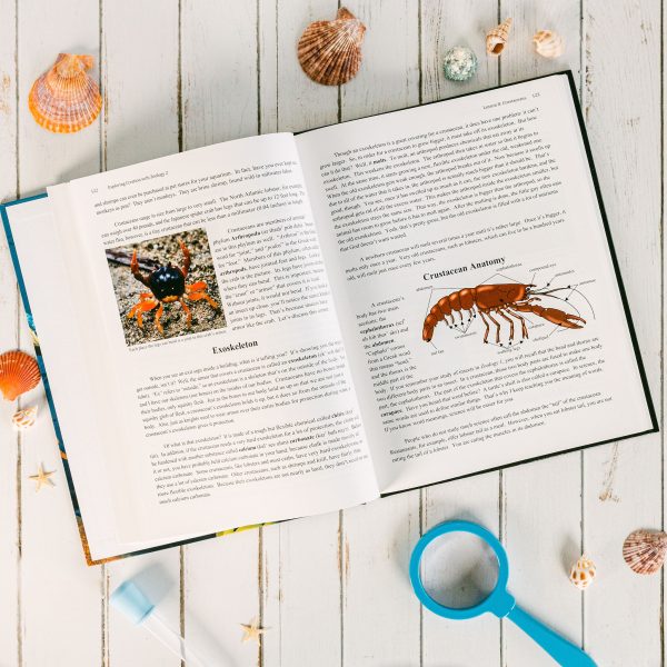 Zoology 2 Textbook Lesson 8-1