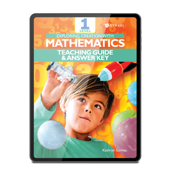 Mathematics teaching guide & answer key e-book