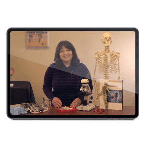 Advanced Biology Streaming Video